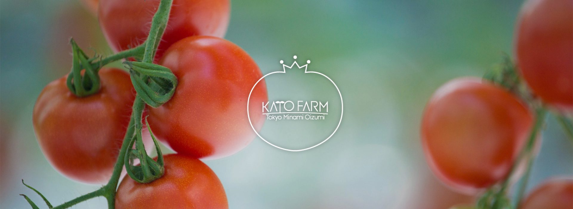 加藤トマトファーム（加藤農園）