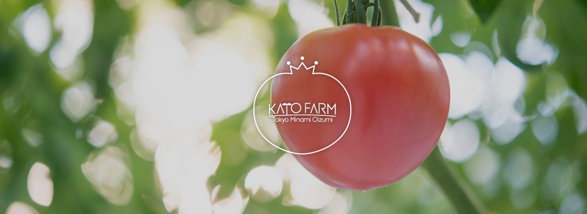 加藤トマトファーム（加藤農園）
