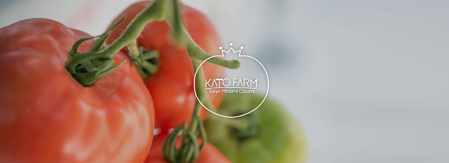 加藤トマトファーム（加藤農園）